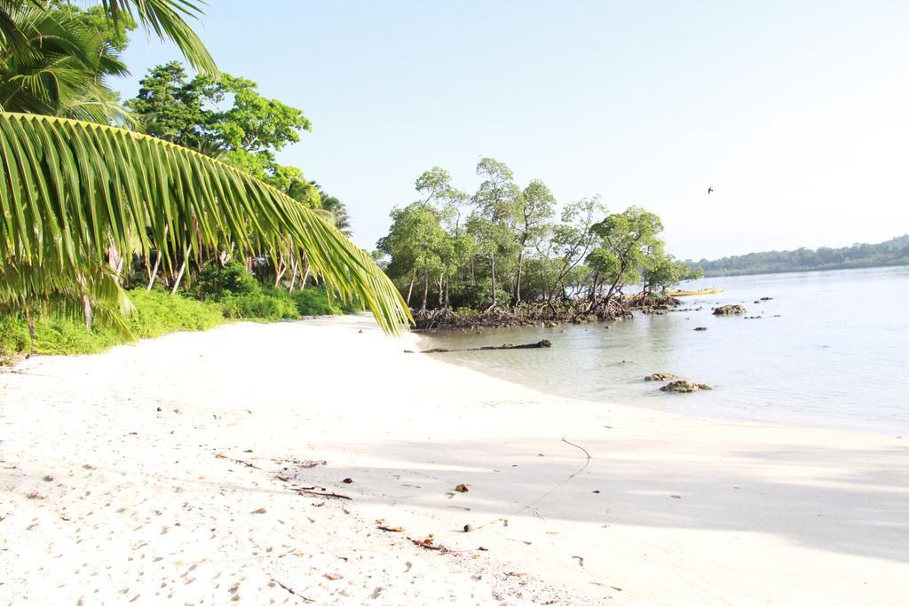 Havelock Island Beach Resort Govind Nagar Ruang foto